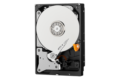 1 Terabyte Surveillance Hard Drive